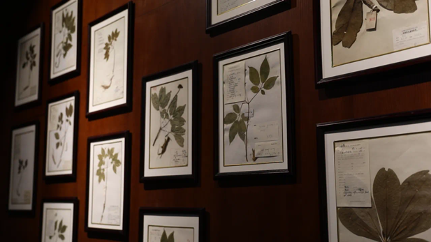 1716174801961092925.png 5_副本.png