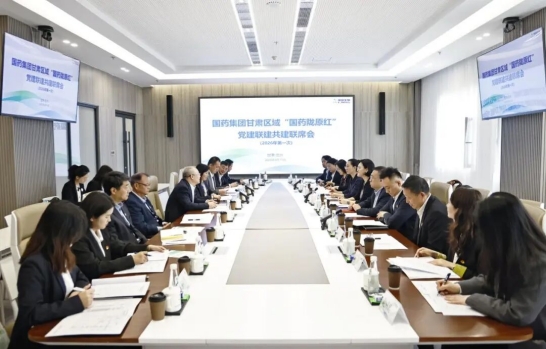 党建联建聚合力，携手共绘陇原红